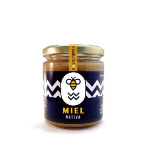 MIEL NATIVA MULTIFLORAL DE 1/2 KILO