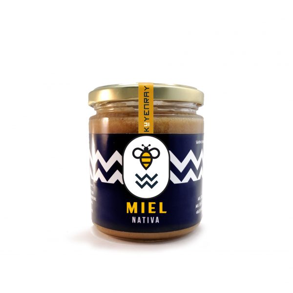 MIEL NATIVA MULTIFLORAL DE 1/2 KILO