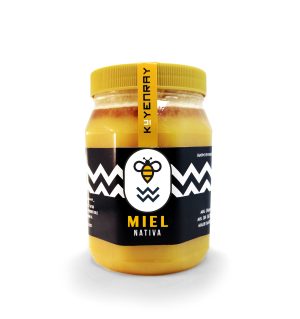 MIEL NATIVA MILTIFLORAL DE 1 KILO - Envase PET