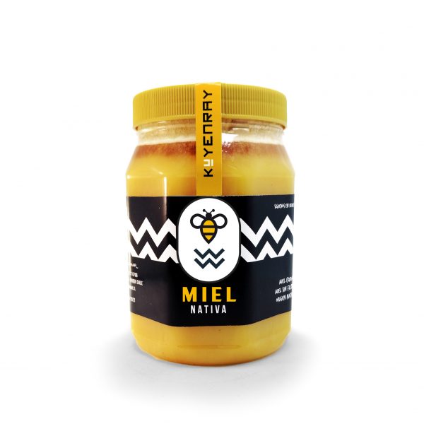 MIEL NATIVA MILTIFLORAL DE 1 KILO - Envase PET